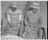 Men with tobacco leaves